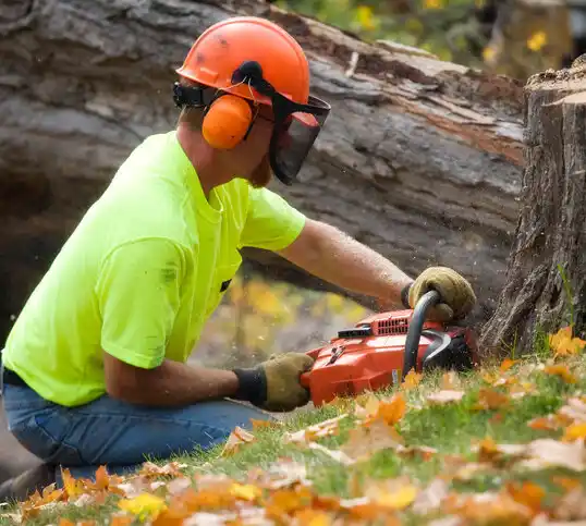 tree services River Road